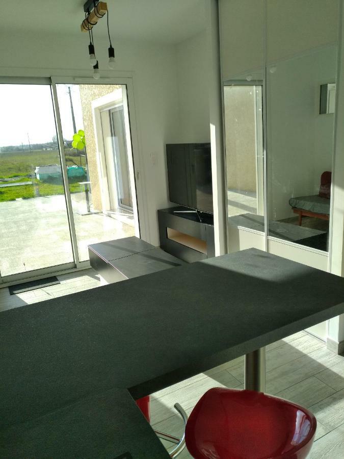 Plaisance Du Touch Apartment Bagian luar foto